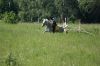DSC01625.JPG