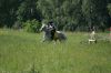 : DSC01626.JPG
: 323
: 1280x856
: 04, 2007 DSC01626.JPG
