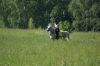 DSC01627.JPG