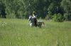 : DSC01628.JPG
: 321
: 1280x856
: 04, 2007 DSC01628.JPG