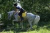 DSC01637.JPG