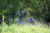 DSC01642.JPG