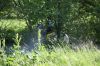 DSC01643.JPG