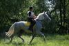 DSC01656.JPG