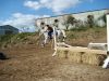 DSC00403.jpg