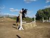 DSC00424.jpg