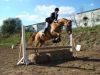 DSC00447.jpg