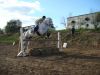 DSC00523.jpg