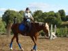 DSC00528.jpg
