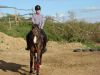 DSC00532.jpg