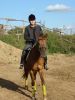 DSC00534.jpg