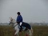 DSC06308.JPG