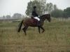 DSC06309.JPG