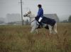 DSC06311.JPG