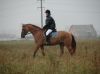 DSC06313.JPG