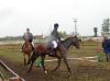 DSC06323.JPG