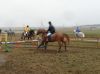 DSC06324.JPG