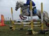 DSC06342.JPG