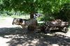 IMG_6297.jpg