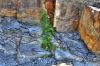 IMG_6193_1_2_3_4.jpg